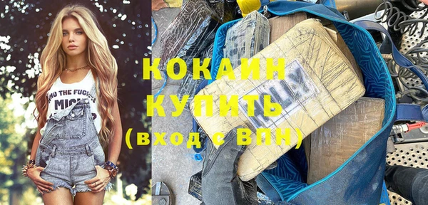 дживик Сосновка