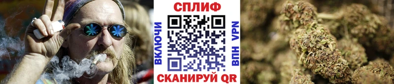 Купить где  Курск  Каннабис сатива 